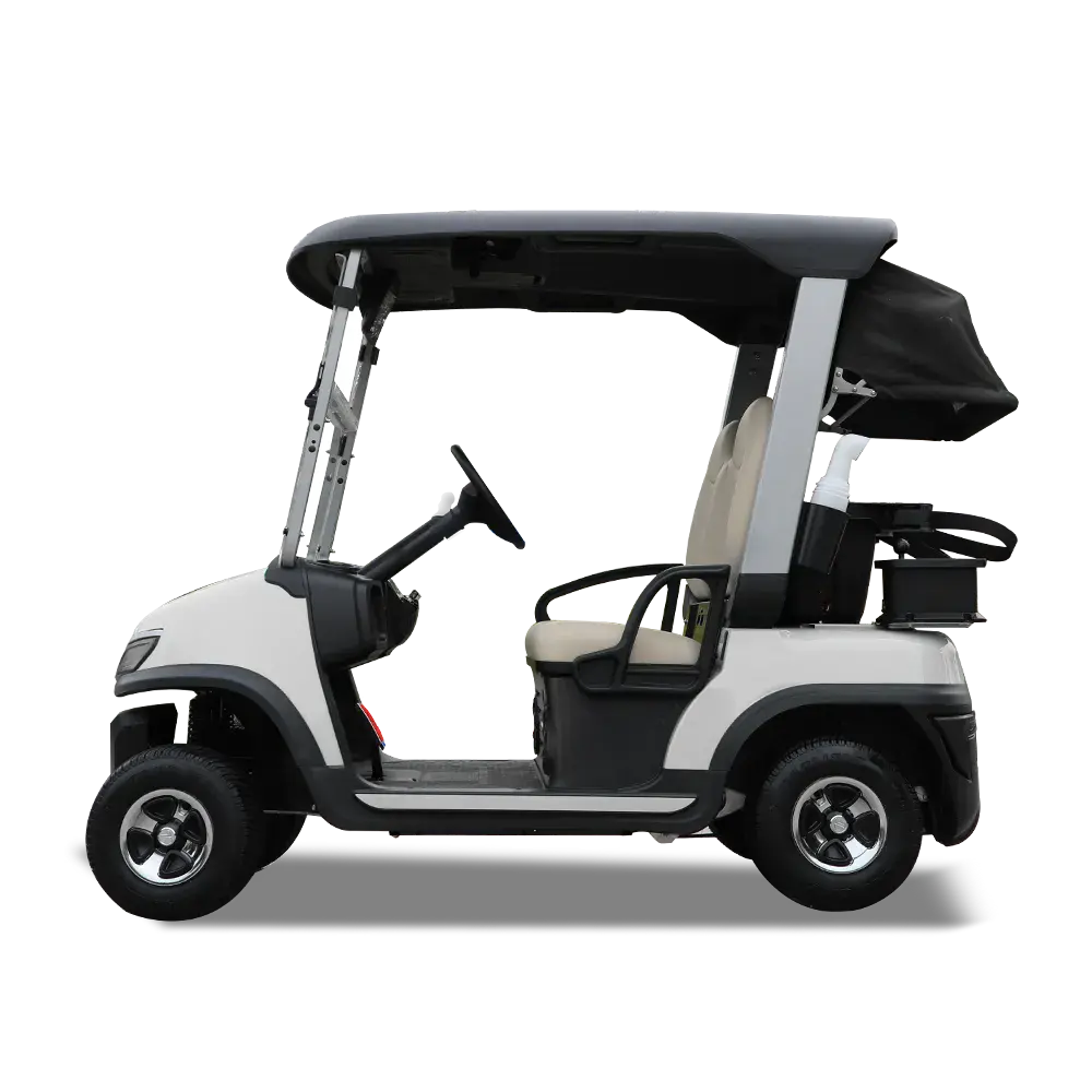 TARA Spirit Pro fleet electric golf cart