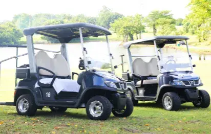 Optimize Your Operations with a Smart Golf Fleet
